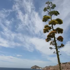 Historia y peligrosa belleza de la Playa de los Muertos en Cabo de Gata, Almería.